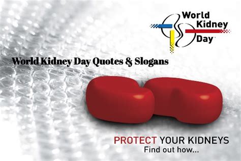 World Kidney Day Quotes – World Kidney Day Slogans in Hindi – Hindi ...