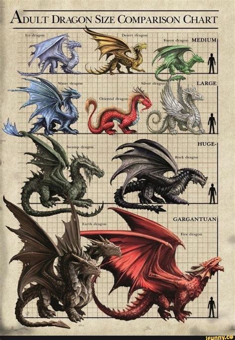 Aburr DRAGON SIZE COMPARISON CHART - iFunny :) | Art à thème dragon ...