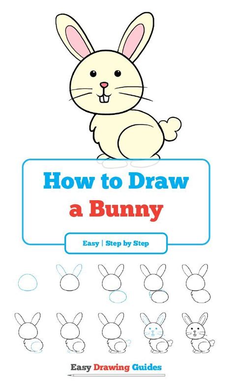 How to Draw a Bunny in a Few Easy Steps | Easy Drawing Guides | Bunny ...