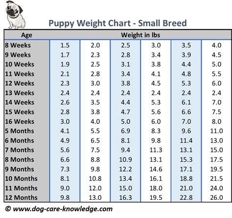 How Much Weight Should A Puppy Gain Per Day