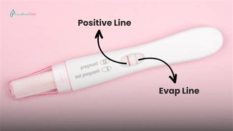 What is a Pregnancy Test Evaporation Line? – Parenthoodbliss