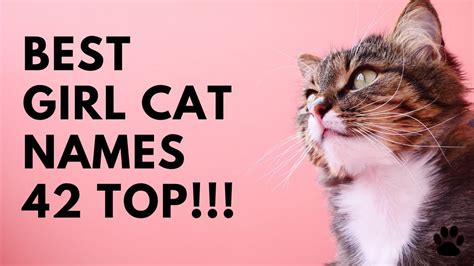 Save the cat genres - aslalabama