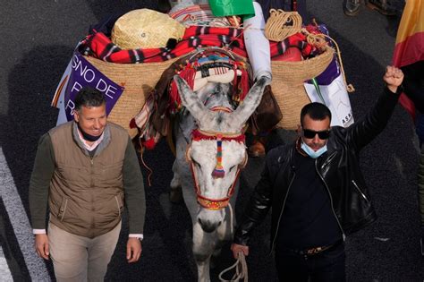 Farmers' protest in Spain highlights rural concerns