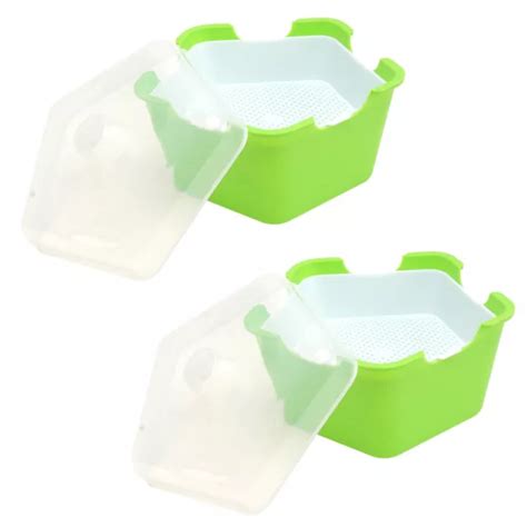 2 SETS PENTAGONAL Box Tray Sprouts Growing Kit Indoor Plants Container ...