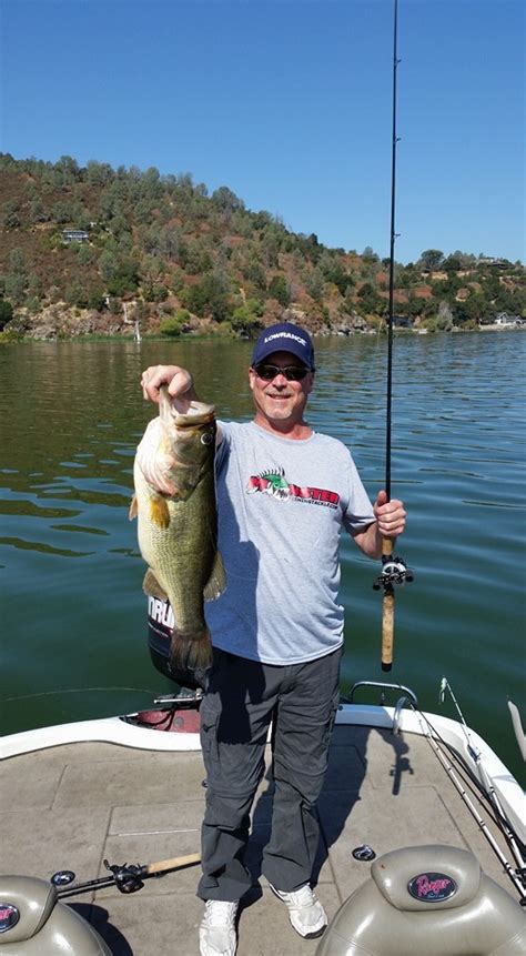 Clear Lake Fish Report - Clearlake, CA (Lake County)