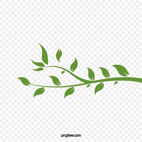 Leafy Vine PNG Picture, Fresh Green Leafy Vine Leaves, Vine Clipart ...