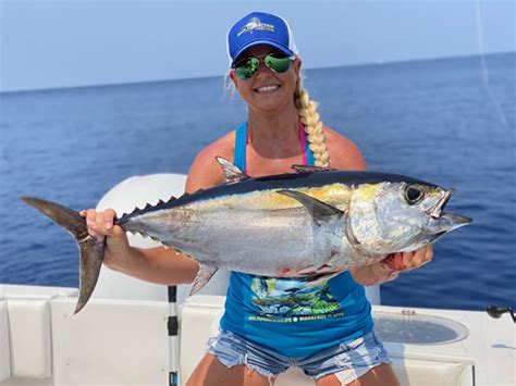 All About The Blackfin Tuna – Facts About Florida Keys Tuna - Marathon ...