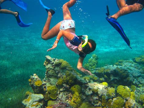 Cozumel Private Snorkeling Palancar Reef – Cozumel Cruise Excursions