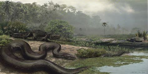 Titanoboa - Titanic Boa Fossil From Colombia Is World's Largest Snake ...