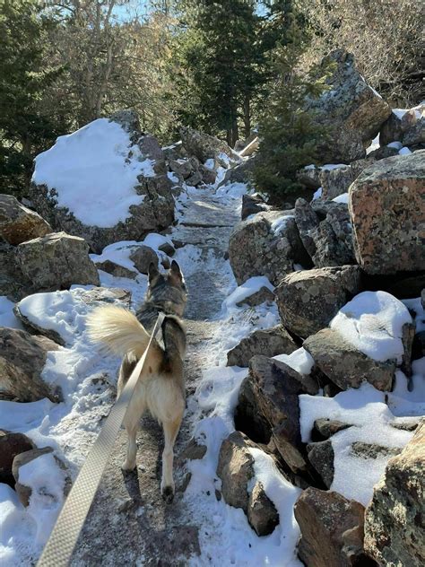 Photos of Royal Arch Trail - Colorado | AllTrails