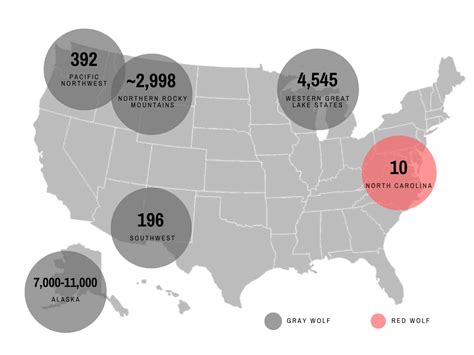 Us Wolf Population August 2022 | Wolf Conservation Center