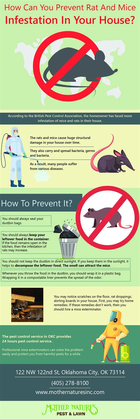 How Can You Prevent Rat And Mice Infestation in Your House?