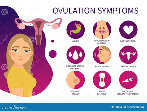 Vector Poster Ovulation Symptoms. Stock Vector - Illustration of organ ...