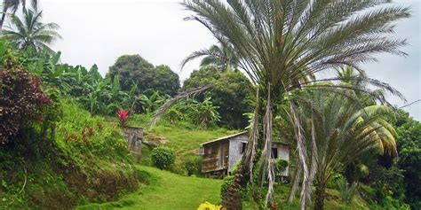 Dominica’s Kalinago Territory - Rusty Travel Trunk