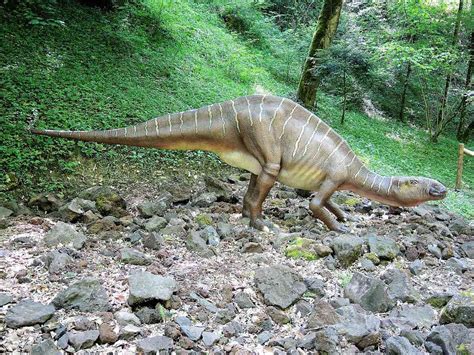 10 Lesser-Known Facts About Iguanodon