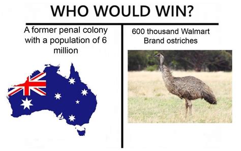 The Great Emu War was better than the Vietnam War - Meme by ...