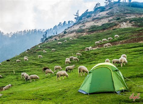 Dharamshala Trekking Tour Package 6 Nights 7 Days | IHPL