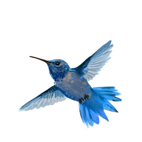 Ave Volando PNG ,dibujos Animal, Aves, Pájaro Azul PNG y PSD para ...