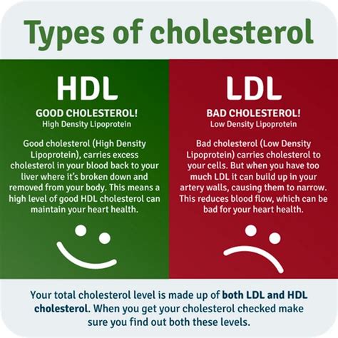 HDL Plant Based Fats vs LDL Animal Fats: Understanding Good and Bad ...