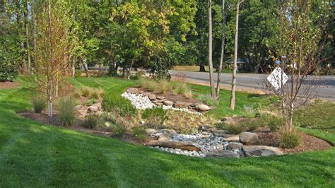 Rain Garden Examples - Garden Plant