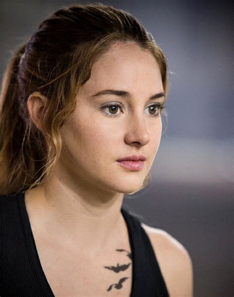 Divergent Character Posters, Five Factions Infographic