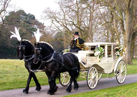 Wedding Horse Carriage