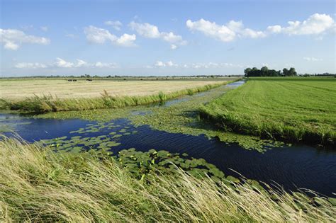 Ditching and culvert construction | Ditch Maintenance | William Morfoot