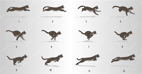 Premium Vector | Cat Run cycle animation sequence