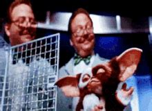 Gremlins GIFs | Tenor