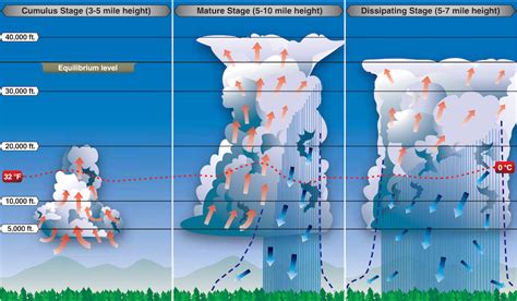 Cumulonimbus Clouds Diagram