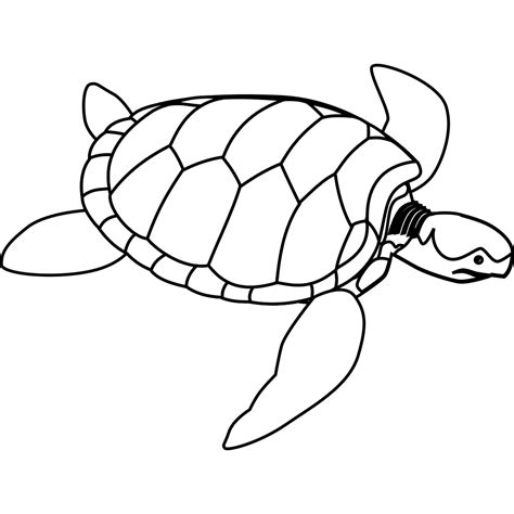 Turtle Outline PNG, SVG Clip art for Web - Download Clip Art, PNG Icon Arts