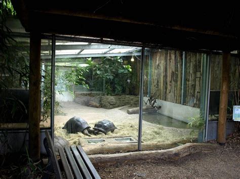 Tortoise House Indoor | Tortoise habitat, Tortoise house, Tortoise ...