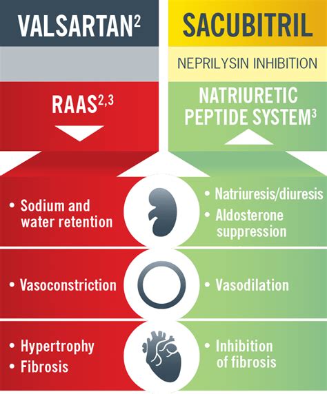 Entresto - REBEL EM - Emergency Medicine Blog