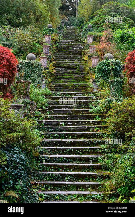 100 steps, one hundred steps,path,pathway,terrace,terraces,acer ...