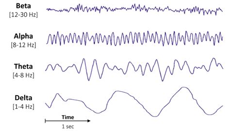 Eeg Brain Waves