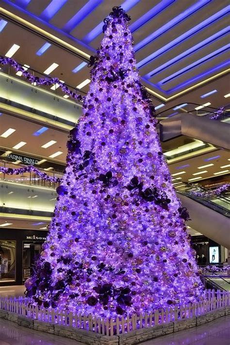 Purple Christmas Trees – Christmas Photos