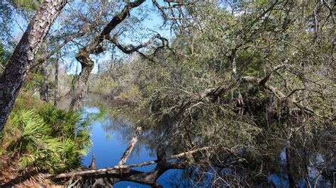 Withlacoochee State Trail – Florida Hikes