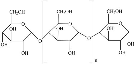 Draw a chemical structure of Amylose depicting the OH groups of each ...