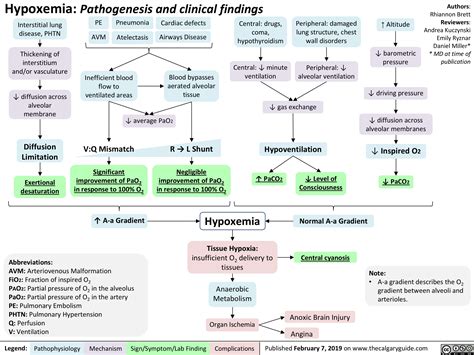 Hypoxemia: Pathogenesis and clinical findings | Calgary Guide