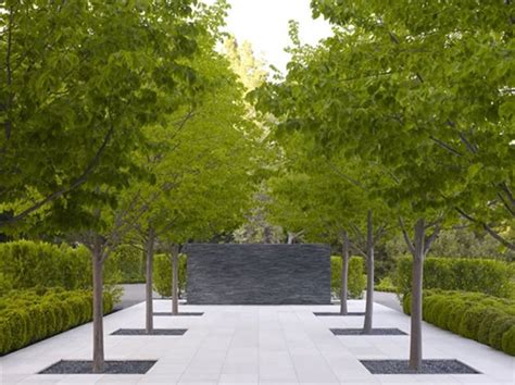 Grouping Trees in the Landscape - Landscaping Network