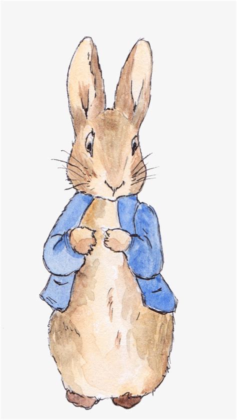 Peter Rabbit Watercolour Transparent PNG - 1899x2944 - Free Download on ...