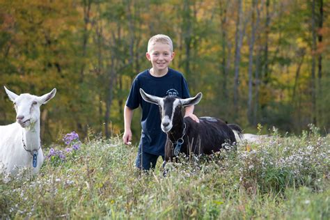 2 Kids Goat Farm