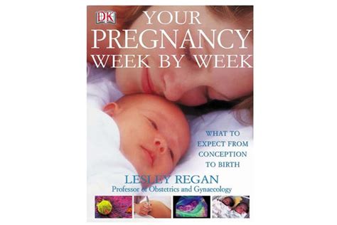 Best pregnancy books 2024: All you need to know as a mum-to-be ...