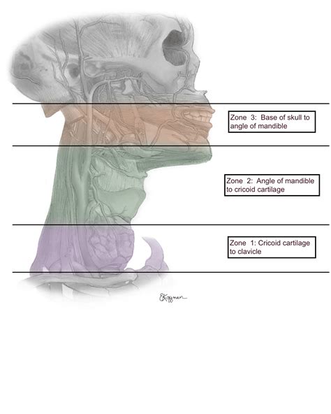 Neck Trauma Trauma Surgery - GMKA - Global Medical Knowledge Alliance