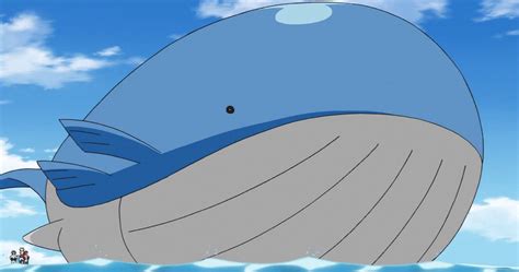 Wailord Has To Eat A Whole Lot Of Other Pokemon To Avoid Floating Into ...