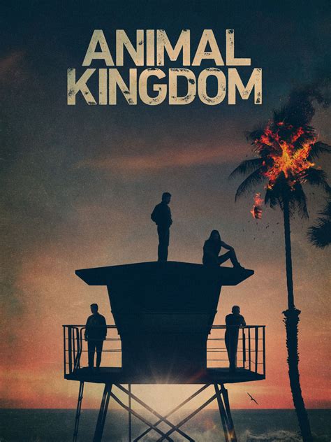 Animal Kingdom - Full Cast & Crew - TV Guide