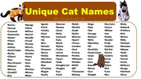 150+ Unique Cat Names in English (Black, Gray And Kitten) - Vocabulary ...