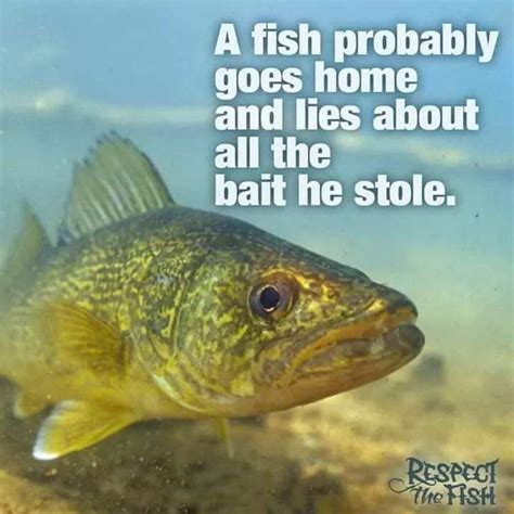 Best funny fishing memes - TurnersTackle