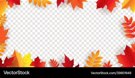 Autumn border with bright leaves transparent Vector Image