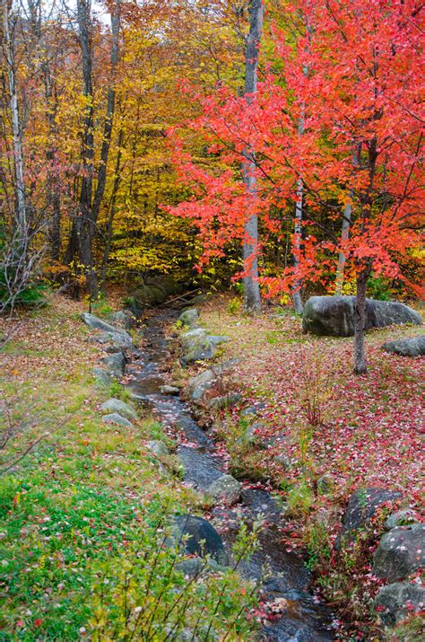 White Mountains Fall Foliage 172 by FairieGoodMother on DeviantArt